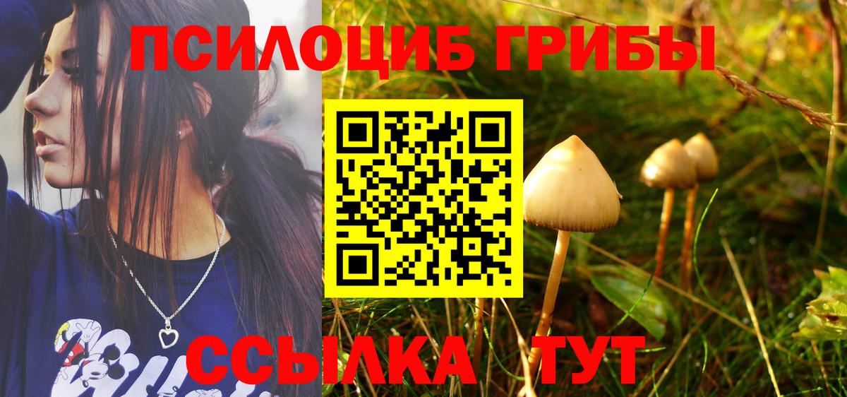 Псилоцибиновые грибы MAGIC MUSHROOMS  Вход с VPN  Большой Камень 